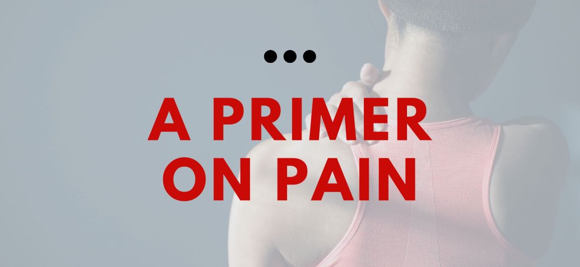 Primer on Pain