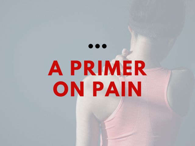 Primer on Pain